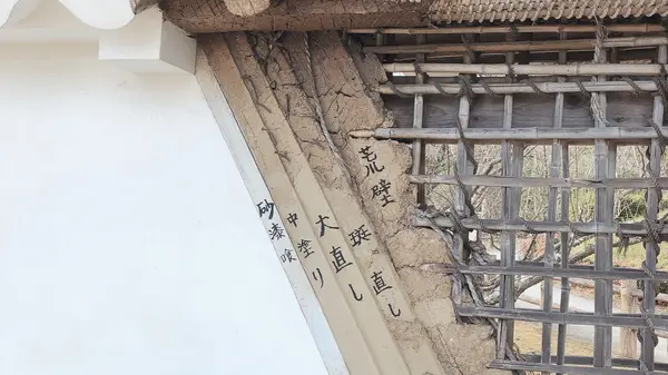 小田原城の写真・動画_image_1000712