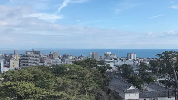 小田原城の写真・動画_image_1000714