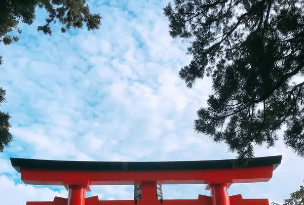 芦ノ湖の写真・動画_image_1000715