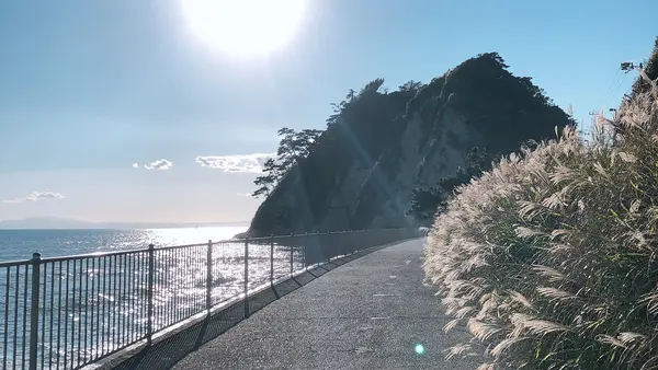 江の島の写真・動画_image_1000723
