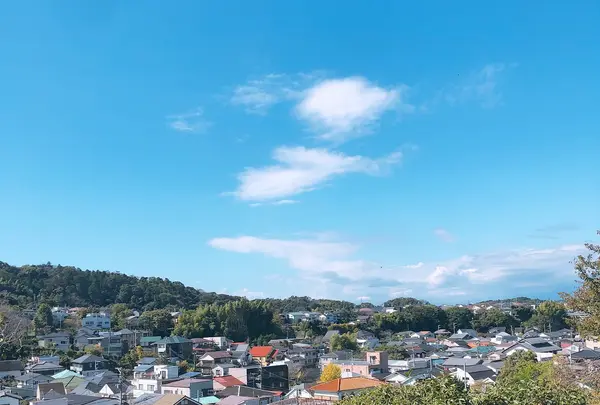 極楽寺の写真・動画_image_1000725