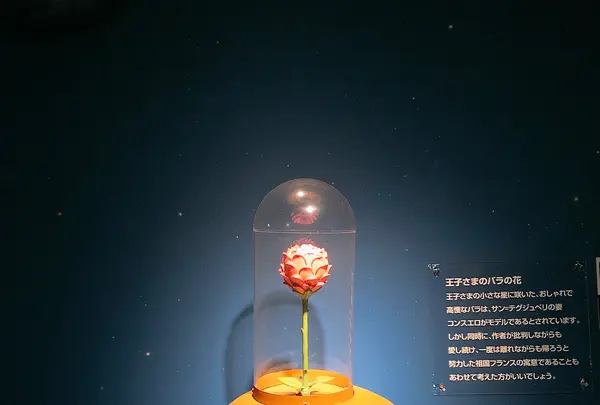 【閉業】星の王子さまミュージアムの写真・動画_image_1000728