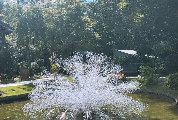 彫刻の森美術館の写真・動画_image_1000734