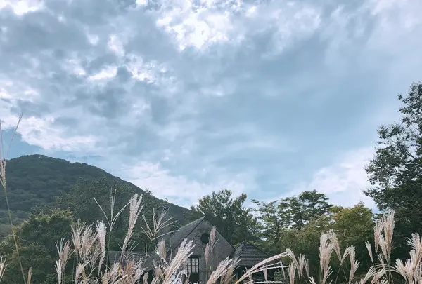 彫刻の森美術館の写真・動画_image_1000735