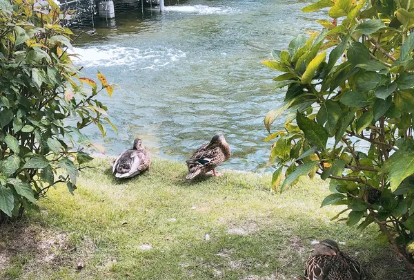 彫刻の森美術館の写真・動画_image_1000737