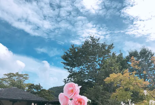 彫刻の森美術館の写真・動画_image_1000738