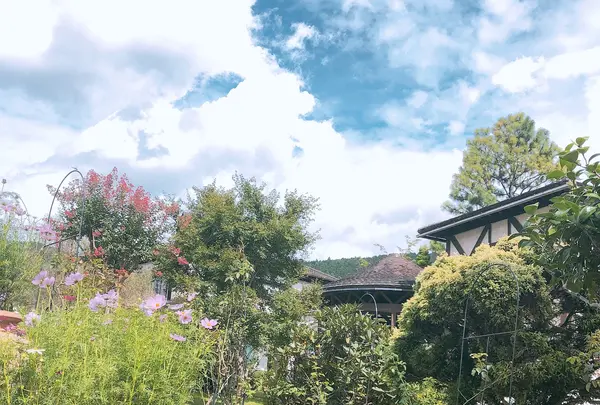 彫刻の森美術館の写真・動画_image_1000739