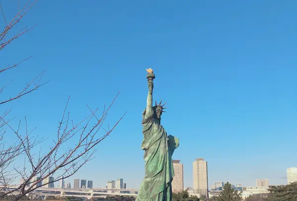お台場海浜公園の写真・動画_image_1000752