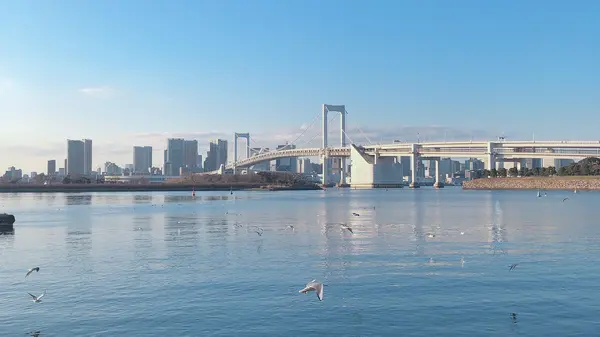 お台場海浜公園の写真・動画_image_1000753