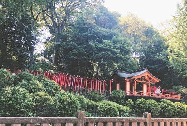 根津神社の写真・動画_image_1000757