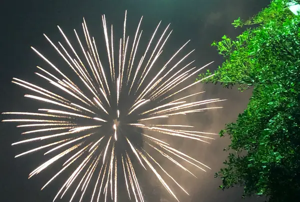 山下公園の写真・動画_image_1000761