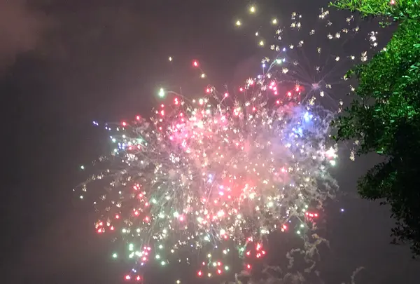 山下公園の写真・動画_image_1000762