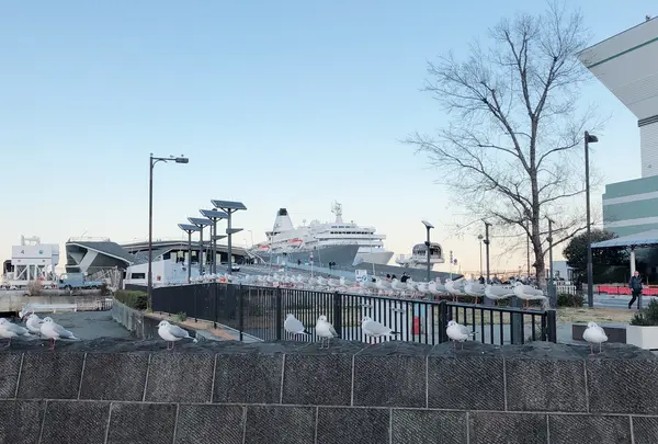 山下公園の写真・動画_image_1000767