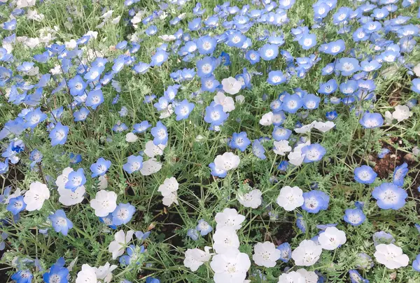 城ヶ崎海岸駅の写真・動画_image_1000776