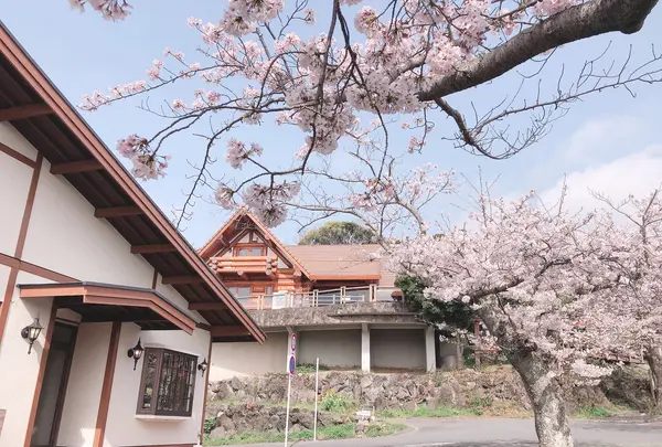 城ヶ崎海岸駅の写真・動画_image_1000777