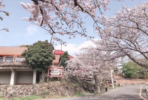 城ヶ崎海岸駅の写真・動画_image_1000778