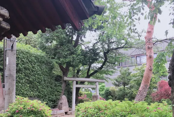 護国寺の写真・動画_image_1000781