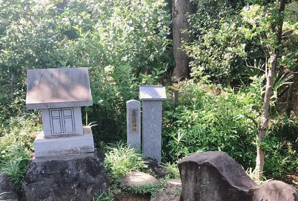 護国寺の写真・動画_image_1000785