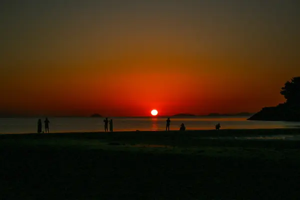 父母ヶ浜海岸の写真・動画_image_1004746