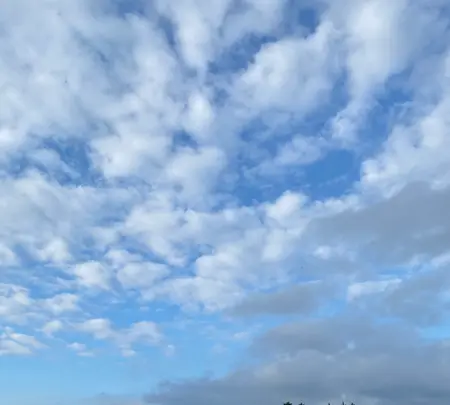 富士見の丘オートキャンプ場の写真・動画_image_1005688