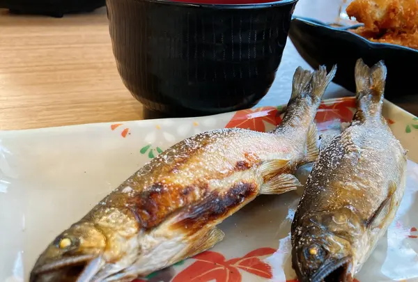 大瀬観光やなの写真・動画_image_1006045