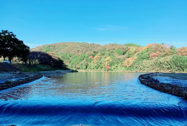 大瀬観光やなの写真・動画_image_1006046