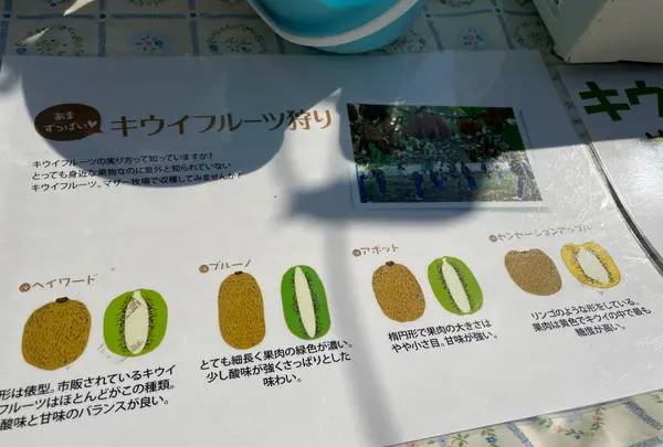 マザー牧場の写真・動画_image_1006278