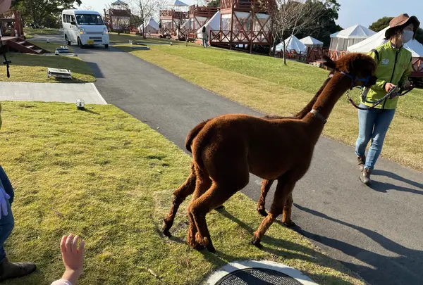 マザー牧場グランピング受付の写真・動画_image_1006300