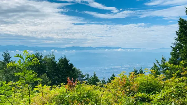 風越山の写真・動画_image_1006772