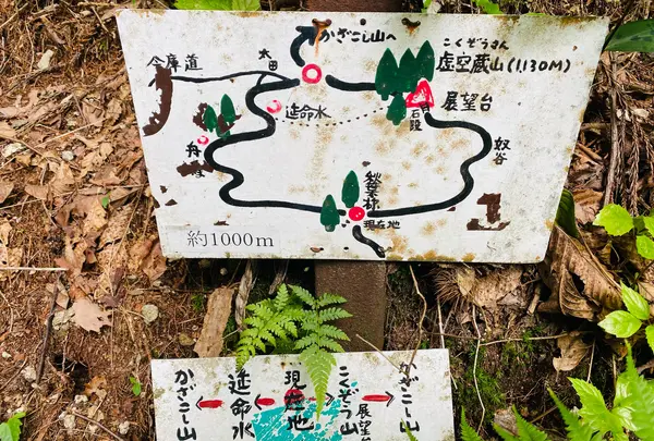 風越山の写真・動画_image_1006773