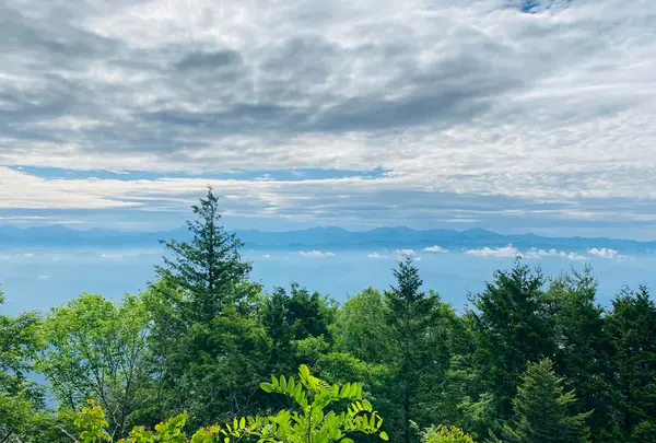 風越山の写真・動画_image_1006774