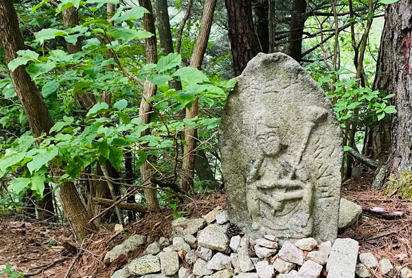 風越山の写真・動画_image_1006777