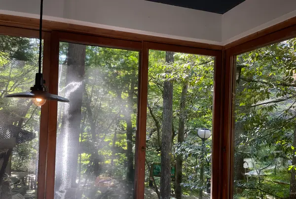 東山ボヌールの写真・動画_image_1008627