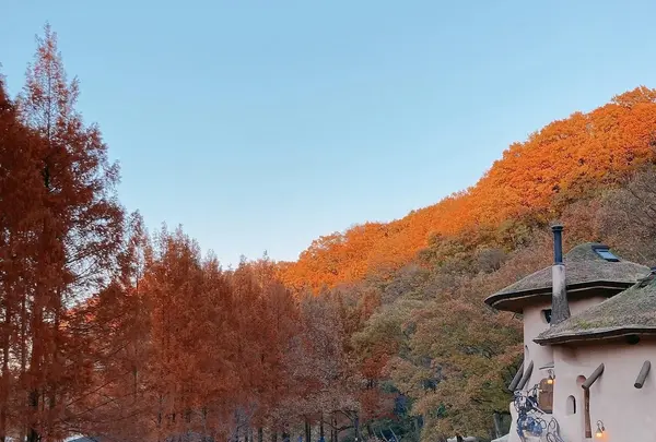 トーベ・ヤンソンあけぼの子どもの森公園の写真・動画_image_1021831