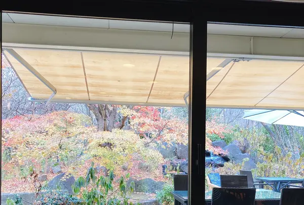 カフェ&ガーデン しらさぎ邸の写真・動画_image_1022841