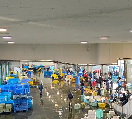氷見 魚市場食堂 の写真・動画_image_1027239