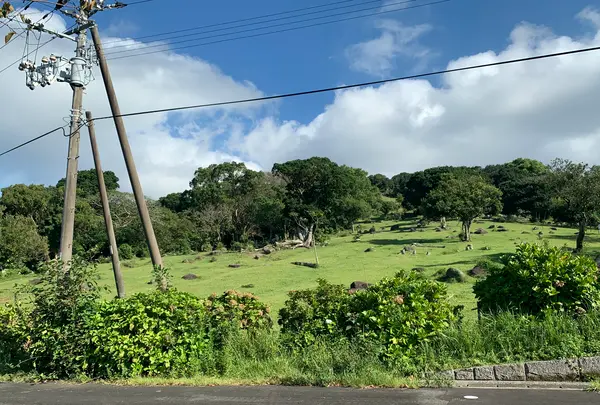 足摺巨石群 唐人駄場遺跡