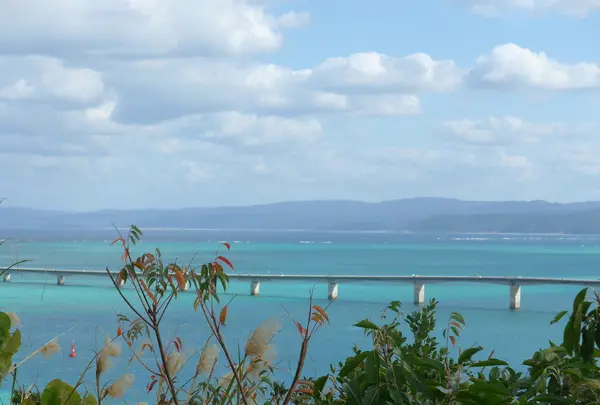 運天展望台の写真・動画_image_1036628