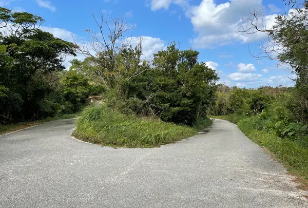 運天展望台の写真・動画_image_1036629