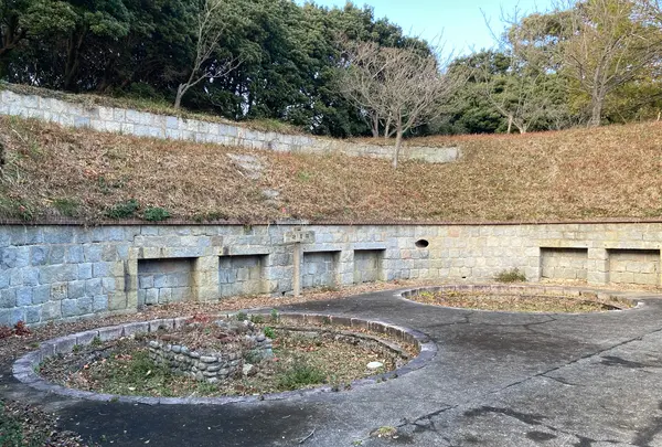 小島の写真・動画_image_1042790