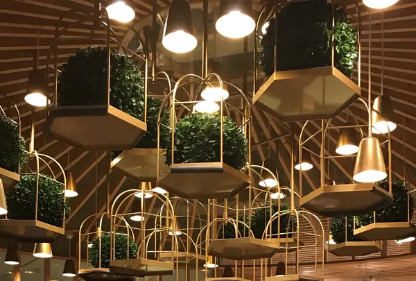 猫カフェ MoCHA（モカ）秋葉原店の写真・動画_image_1044482