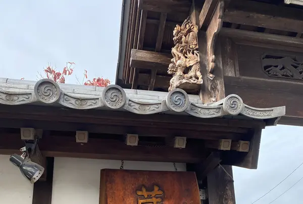 蔵日和の写真・動画_image_1044534