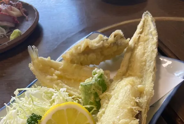 海鮮料理 磯の写真・動画_image_1055732