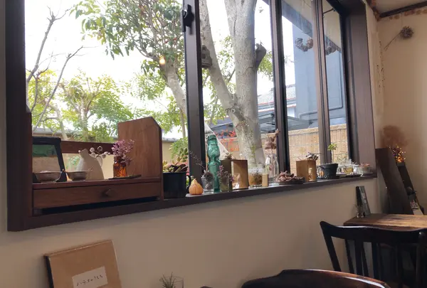 マメトコナの写真・動画_image_1061648