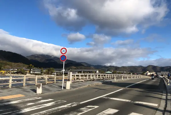 渡月橋の写真・動画_image_1065545