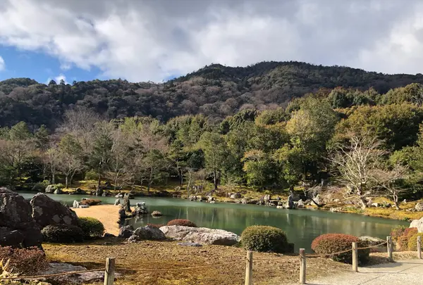 天龍寺の写真・動画_image_1065550