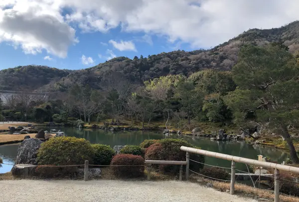 天龍寺の写真・動画_image_1065552