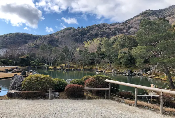 天龍寺の写真・動画_image_1065553