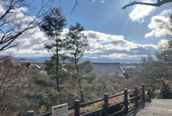 天龍寺の写真・動画_image_1065556