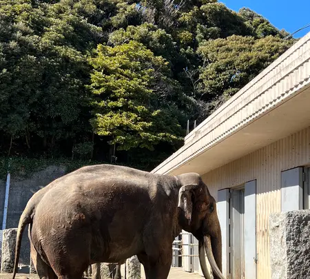 横浜市立金沢動物園の写真・動画_image_1072324